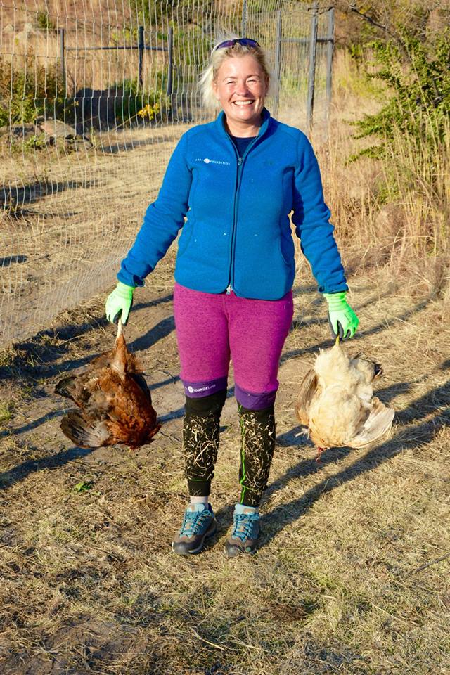 sophie and chickens